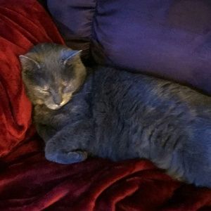 Meet your Posher, Don